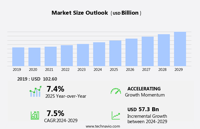Geriatric Medicines Market Size