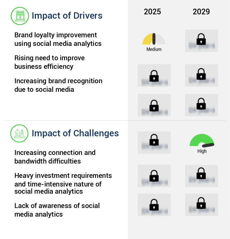 Social Business Intelligence Market Size