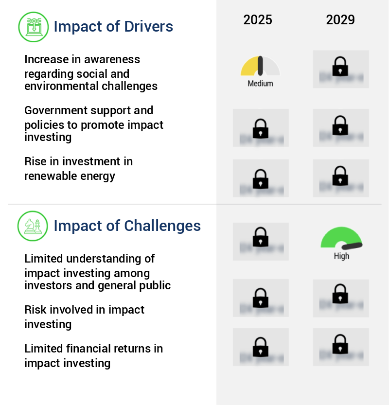 Impact Investing Market Size
