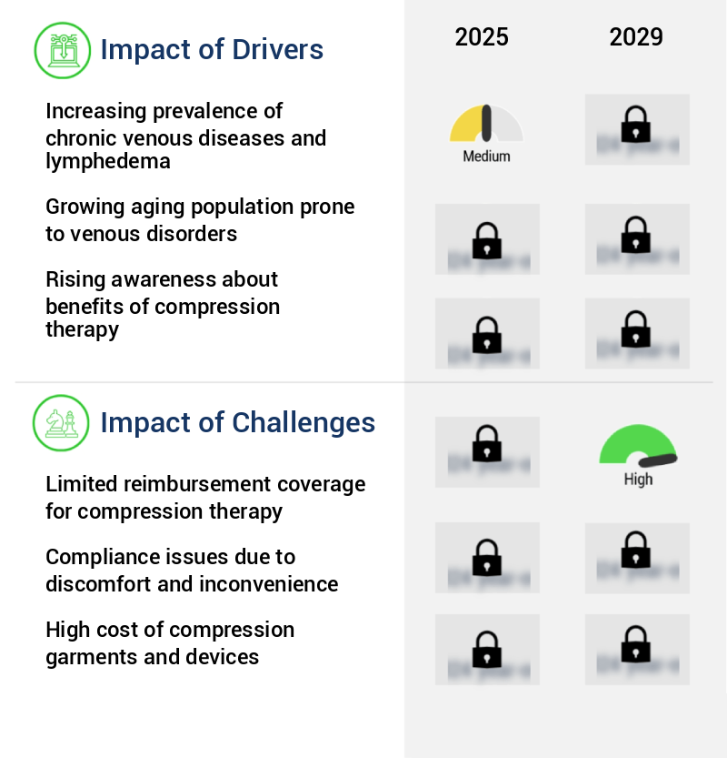 Compression Therapy Market Size