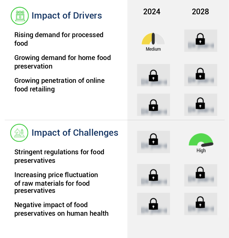 Food Preservatives Market Size