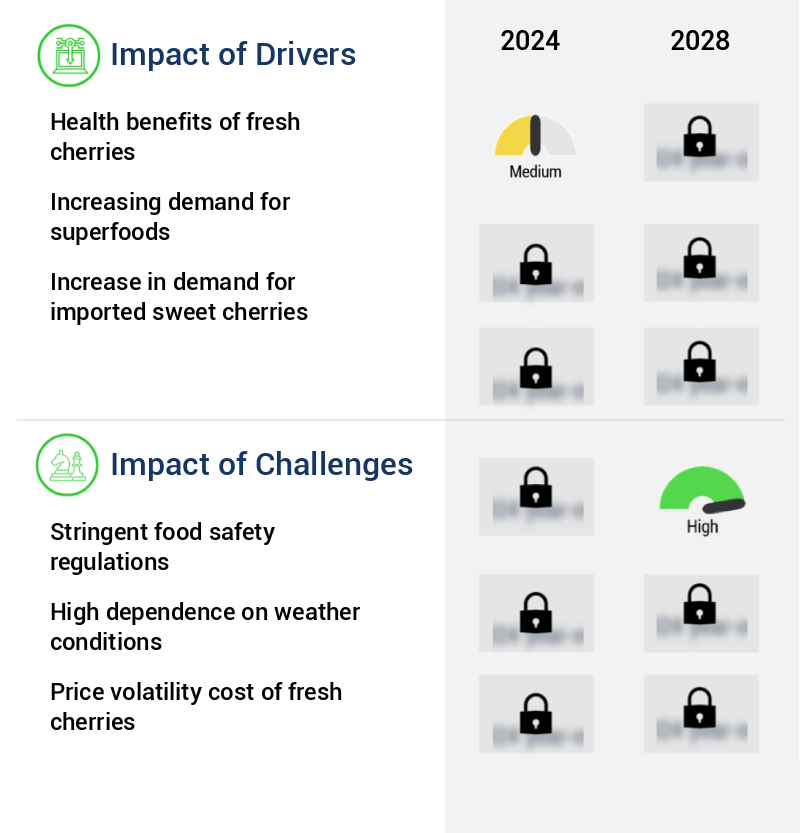Fresh Cherries Market Size