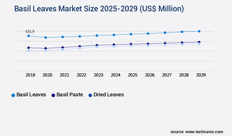 Basil Leaves Market Size