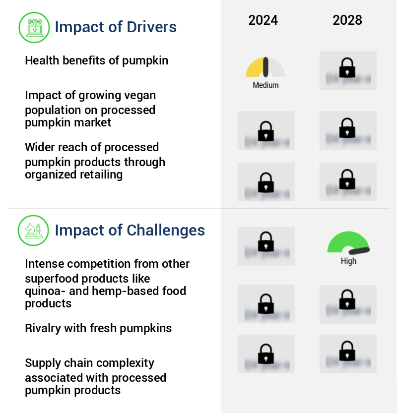 Processed Pumpkin Market in US Size