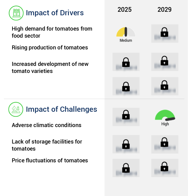 Tomato Market Size
