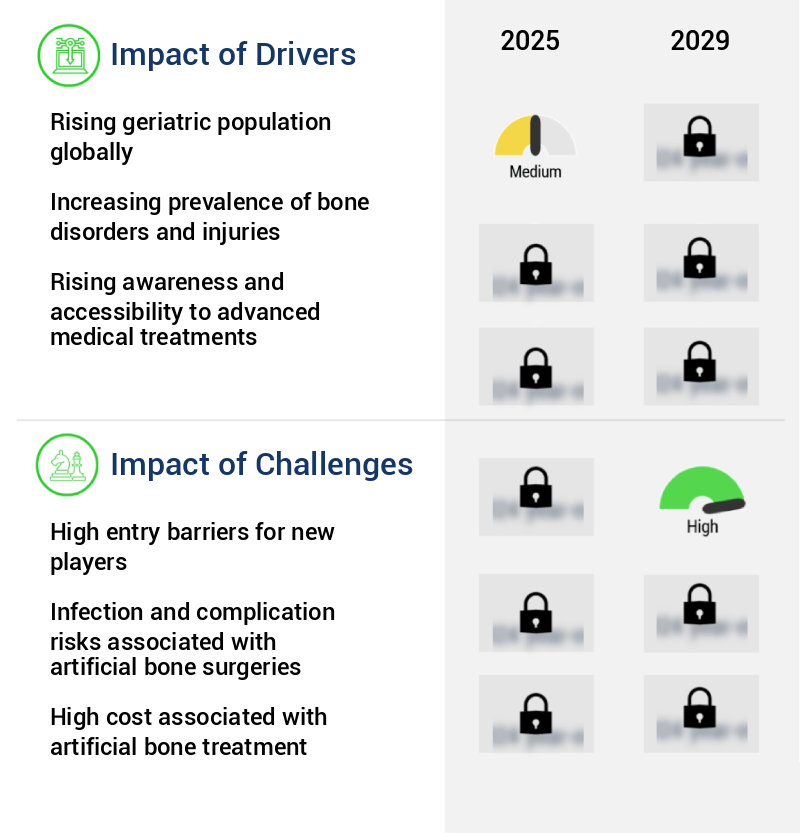 Artificial Bone Market Size