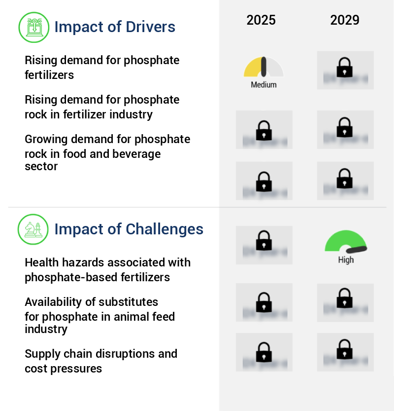 Phosphate Rock Market Size