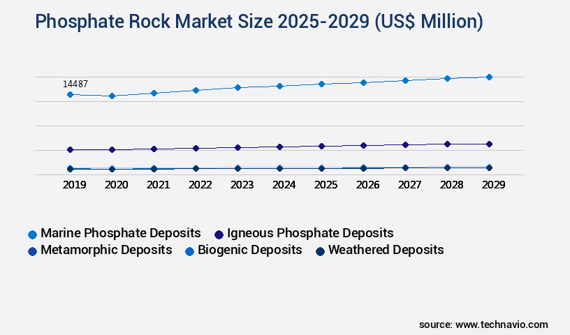 Phosphate Rock Market Size