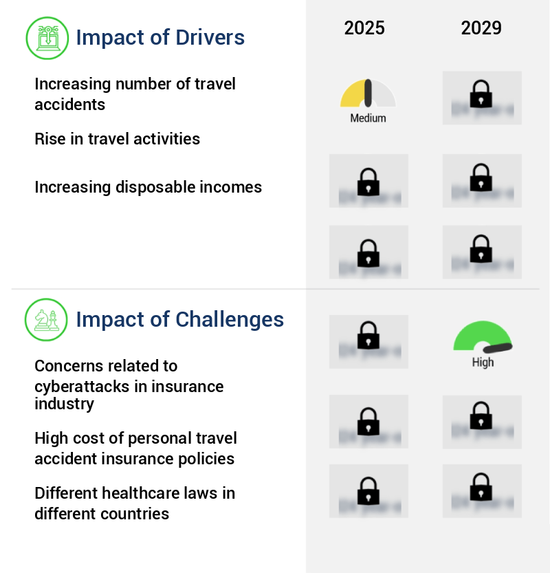 Personal Travel Accident Insurance Market Size