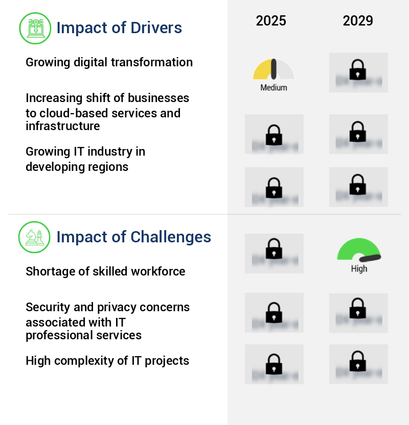 IT Professional Services Market Size