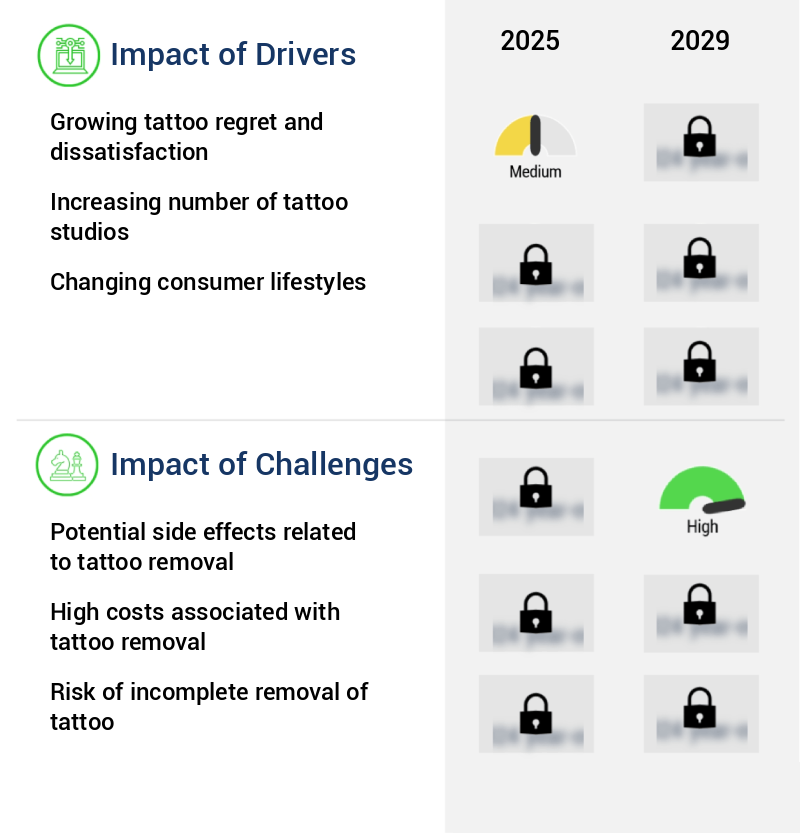 Tattoo Removal Market Size