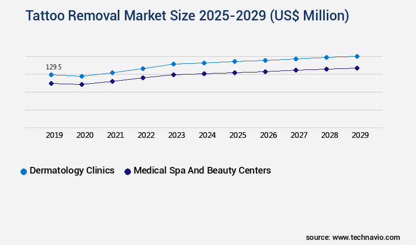 Tattoo Removal Market Size