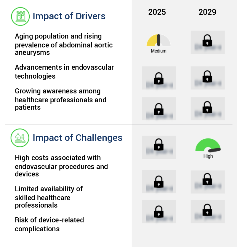 Endovascular Abdominal Aortic Aneurysm (AAA) Repair Devices Market Size