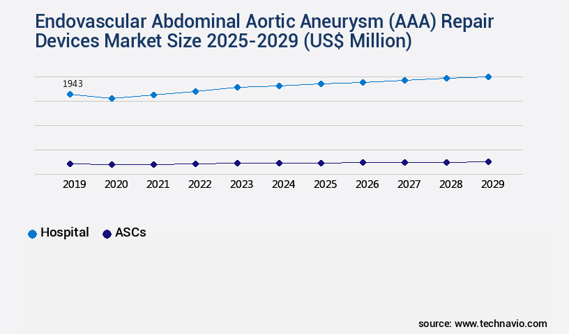 Endovascular Abdominal Aortic Aneurysm (AAA) Repair Devices Market Size