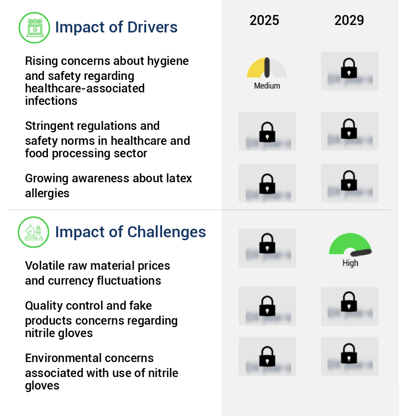 Nitrile Gloves Market Size