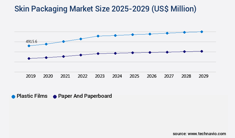 Skin Packaging Market Size