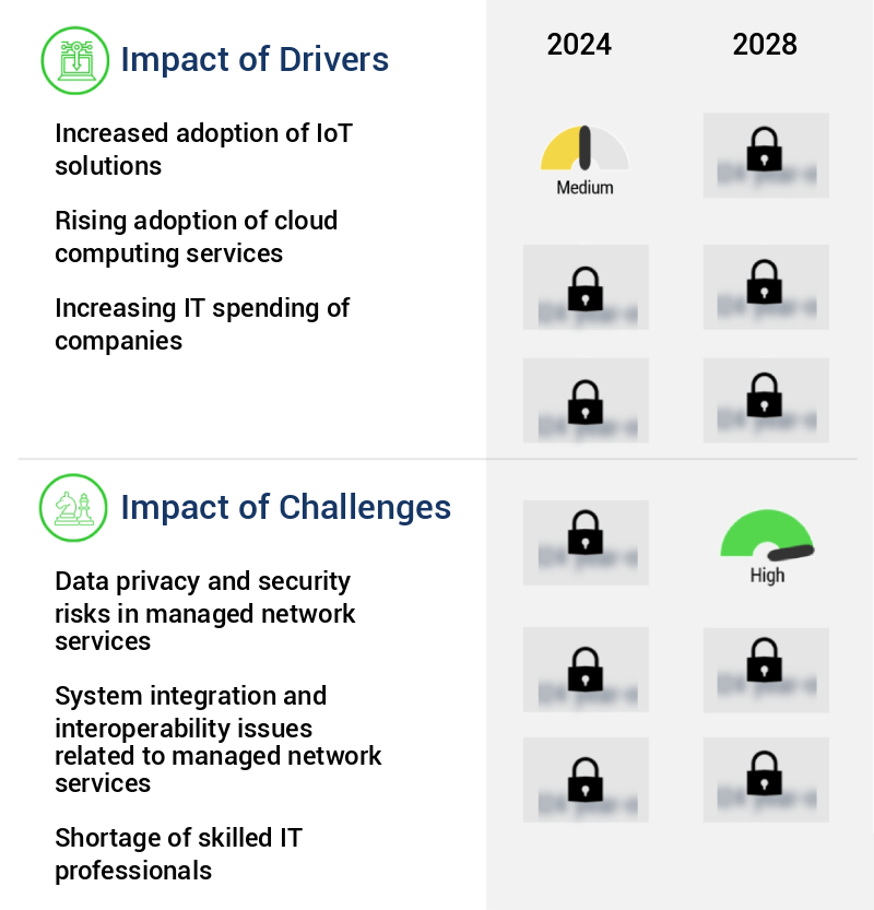 Managed Network Services Market Size