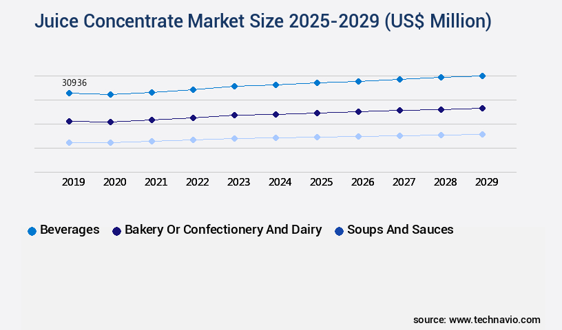 Juice Concentrate Market Size