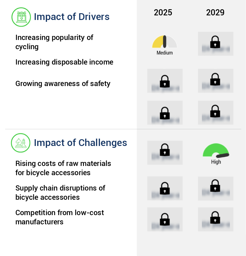 Bicycle Accessories Market Size