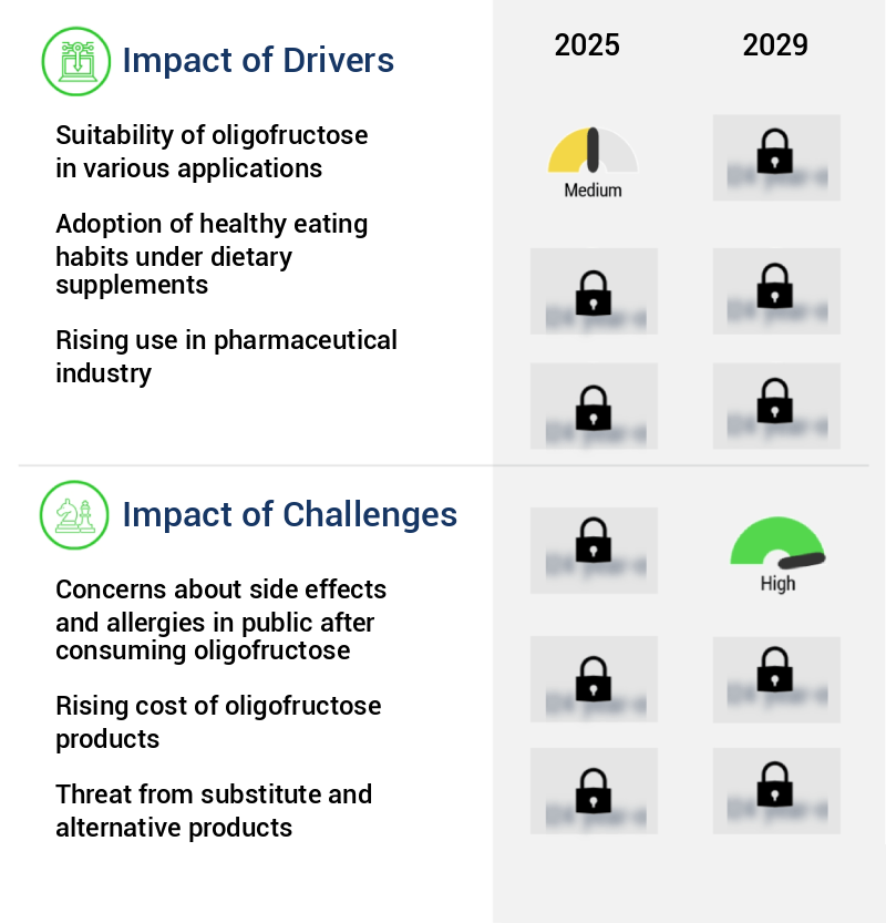 Oligofructose Market Size