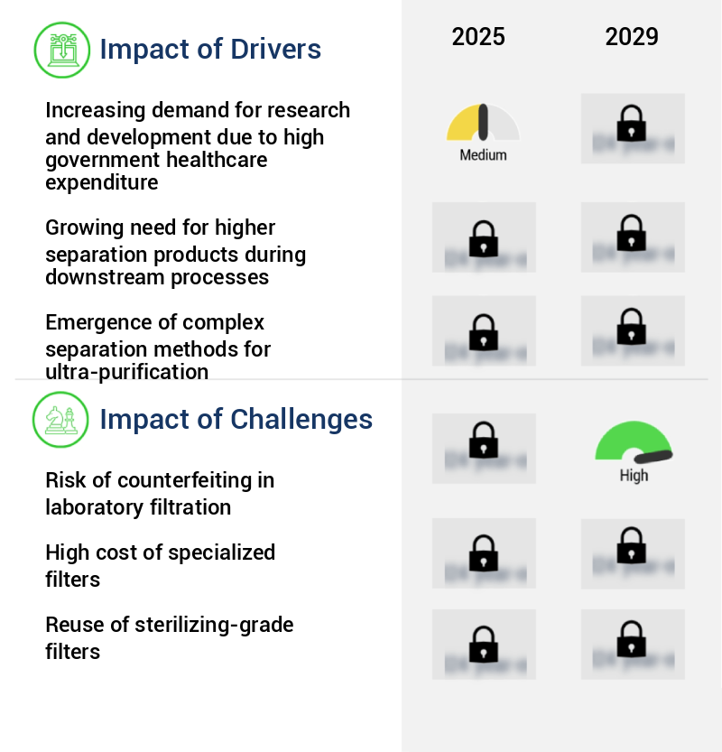 Laboratory Filtration Market Size