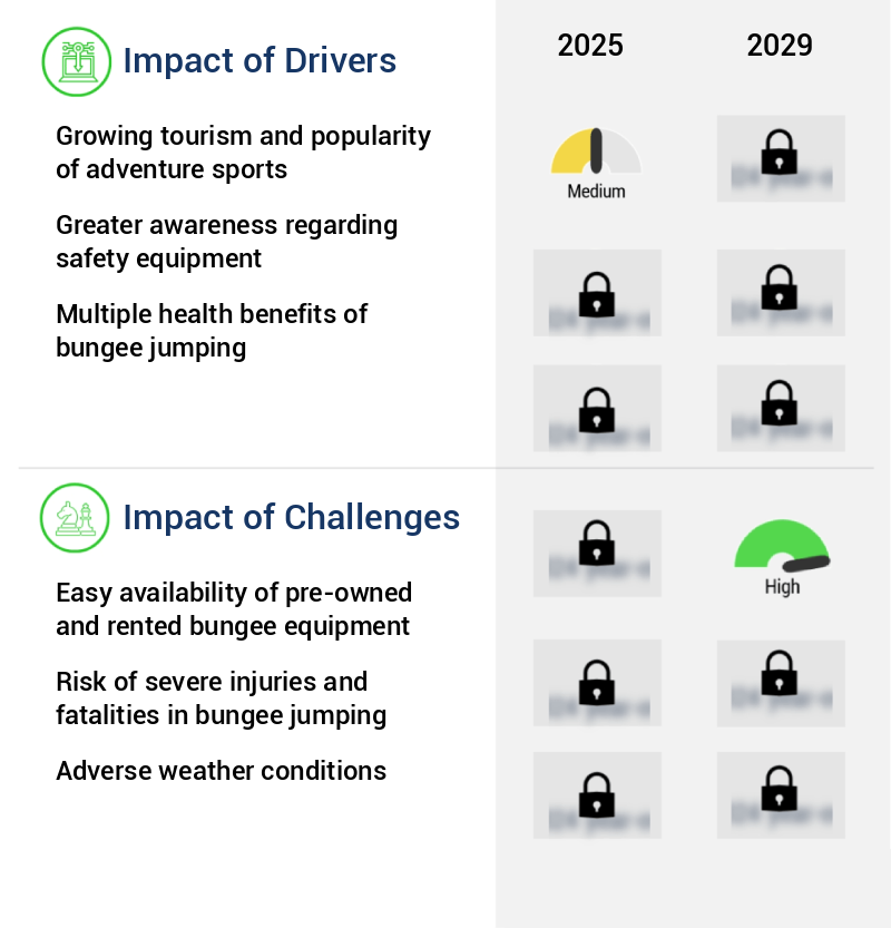 Bungee Jumping Equipment Market Size