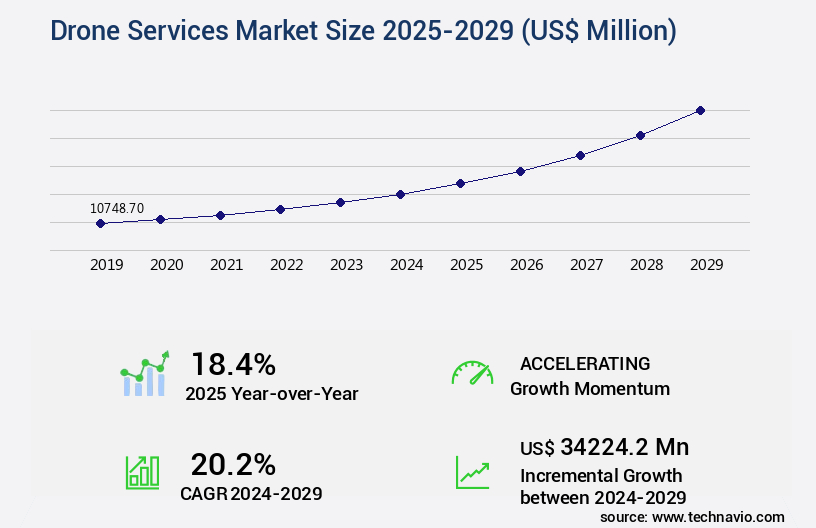 Drone Services Market Size