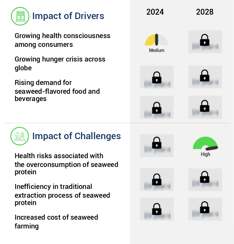 Seaweed Protein Market Size