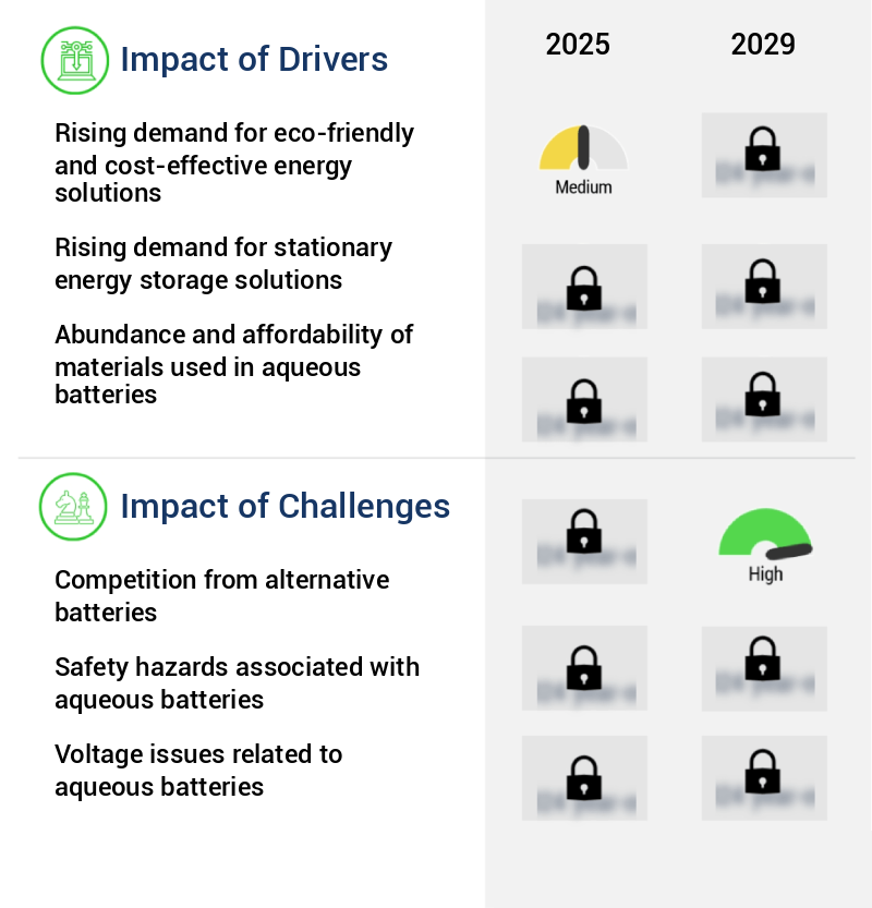 Aqueous Batteries Market Size