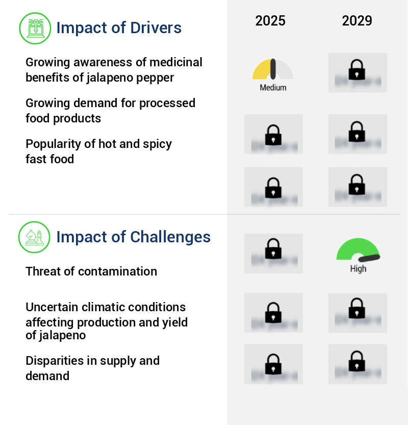 Jalapeno Pepper Market Size
