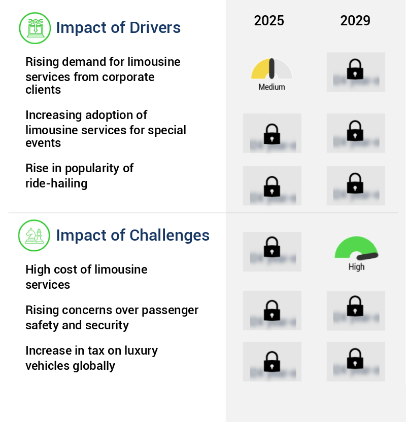 Limousine Service Market Size