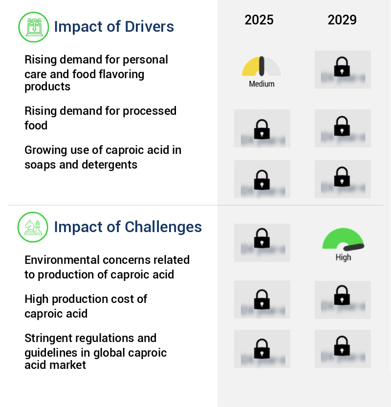 Caproic Acid Market Size