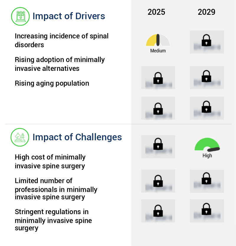 Minimally Invasive Spine Surgery Market Size