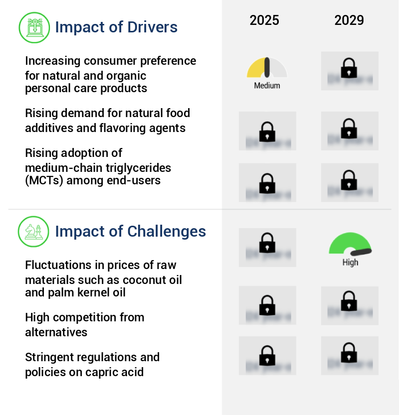 Capric Acid Market Size