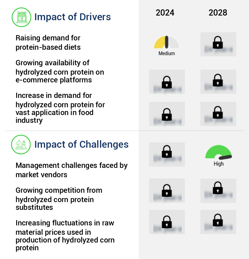Hydrolyzed Corn Protein Market Size