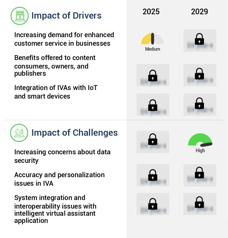 Intelligent Virtual Assistant Market Size
