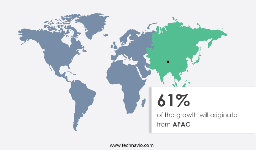 Asafoetida Market Share by Geography