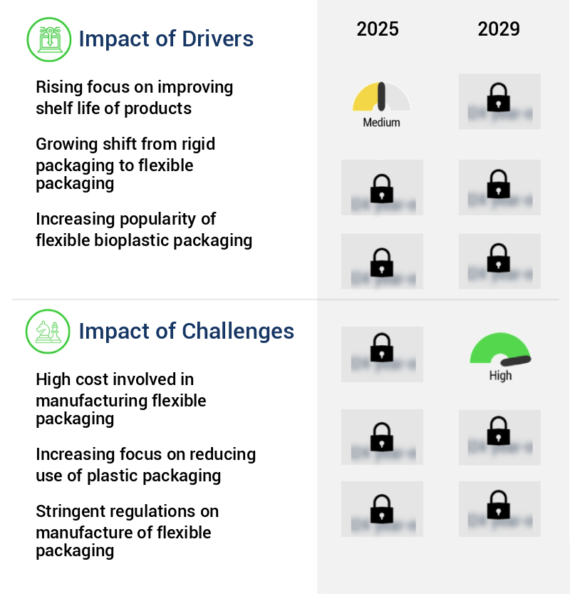 Flexible Packaging Market in Europe Size