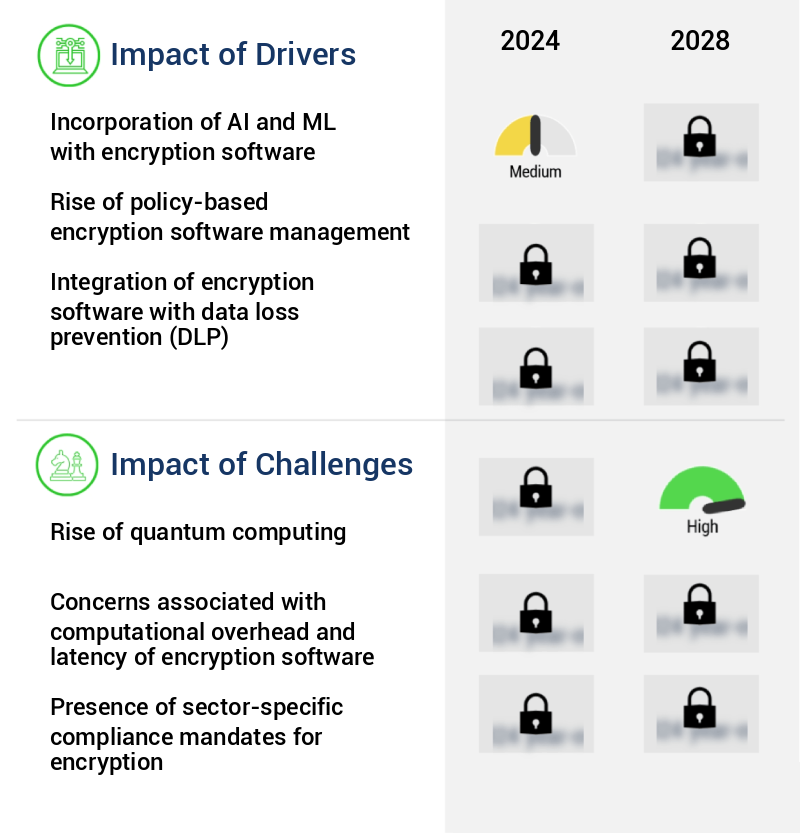 Encryption Software Market Size