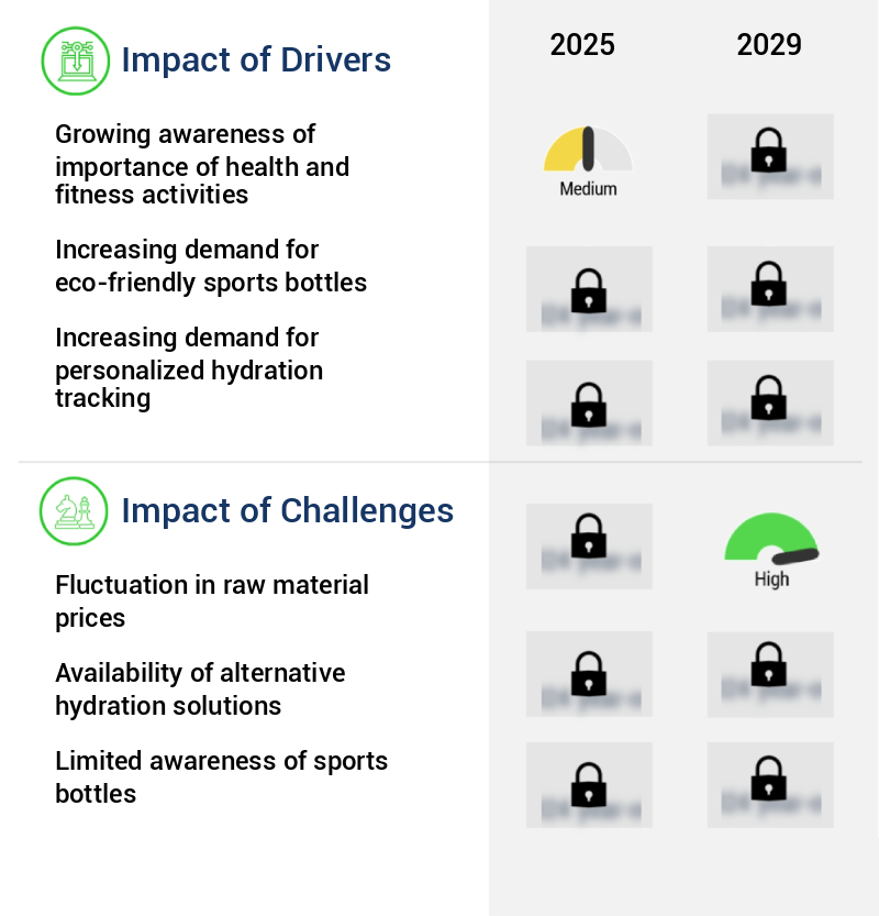 Sports Bottle Market Size