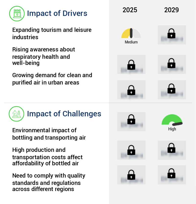 Bottled Air Market Size