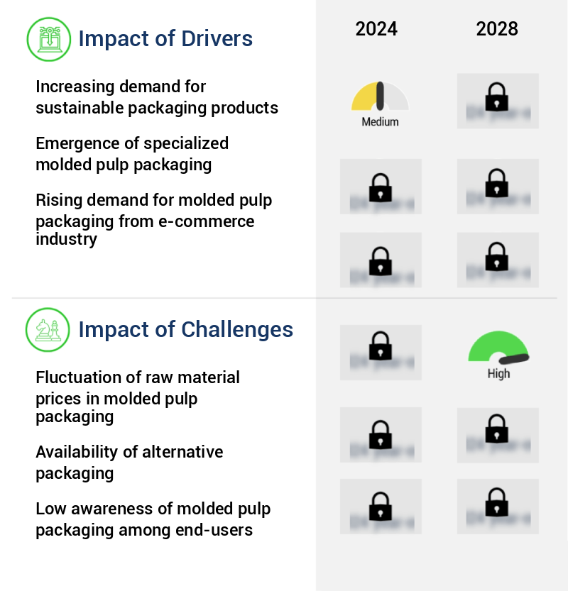 Molded Pulp Packaging Market Size