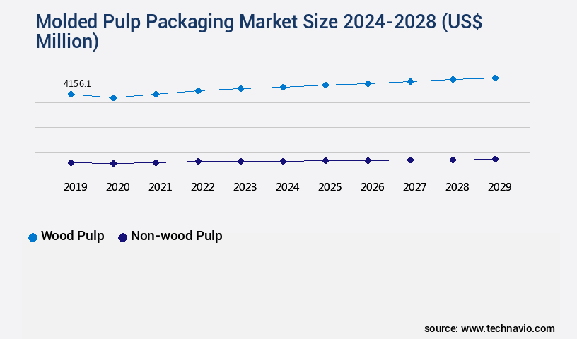 Molded Pulp Packaging Market Size