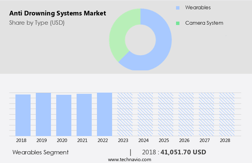 Anti Drowning Systems Market Size