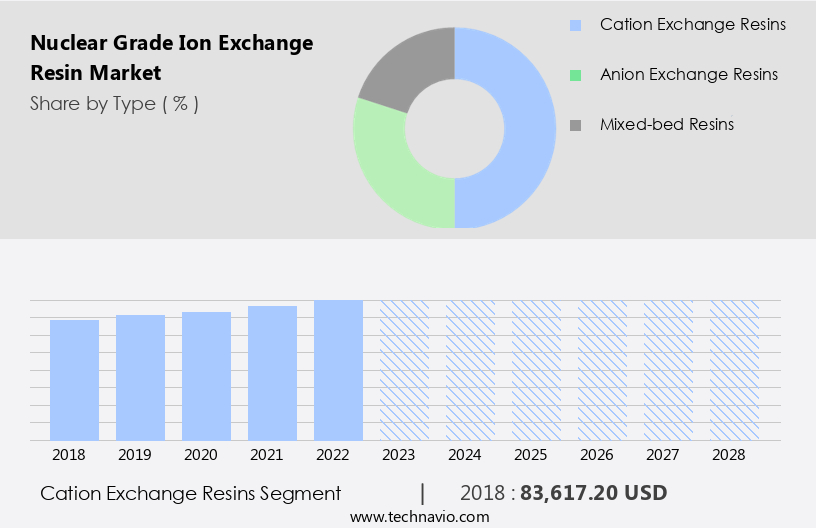 Nuclear Grade Ion Exchange Resin Market Size