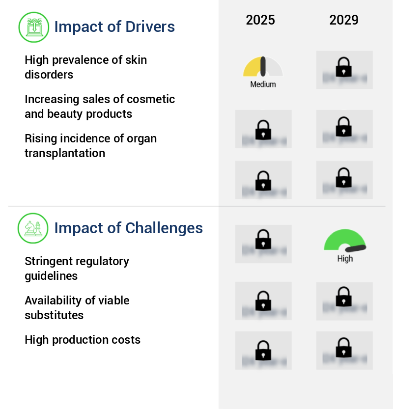 Lactobionic Acid Market Size