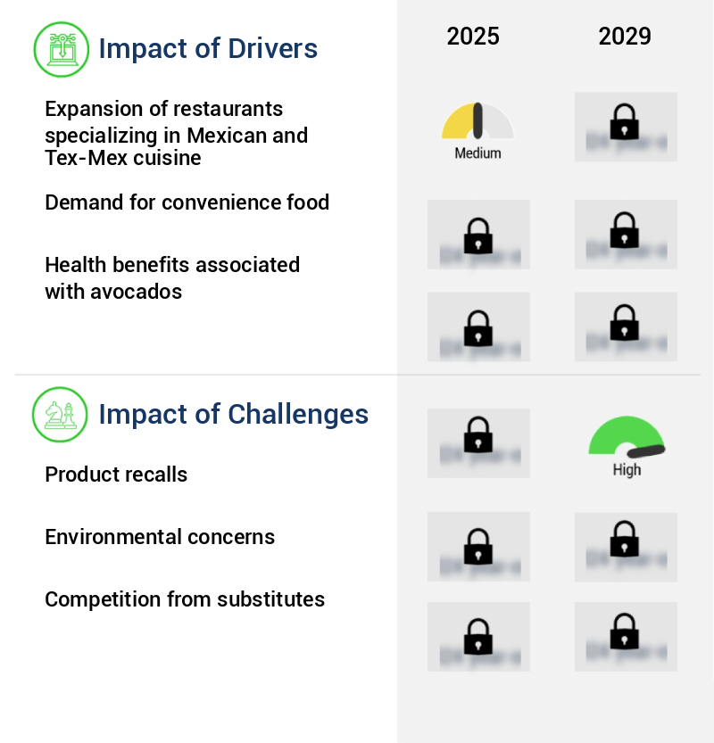 Guacamole Market Size