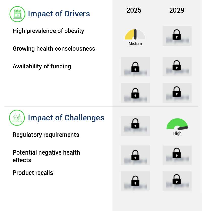 Dietary Supplement Contract Manufacturing Market Size