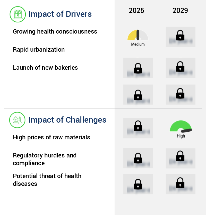 Bread Improvers Market Size