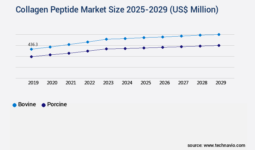 Collagen Peptide Market Size